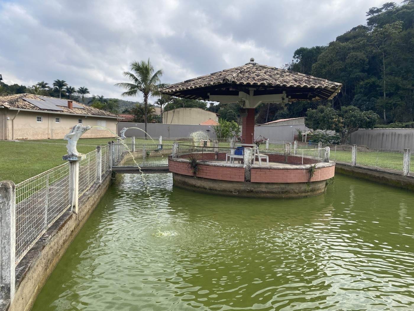 Sítio, 4 quartos, 5434 m² - Foto 20