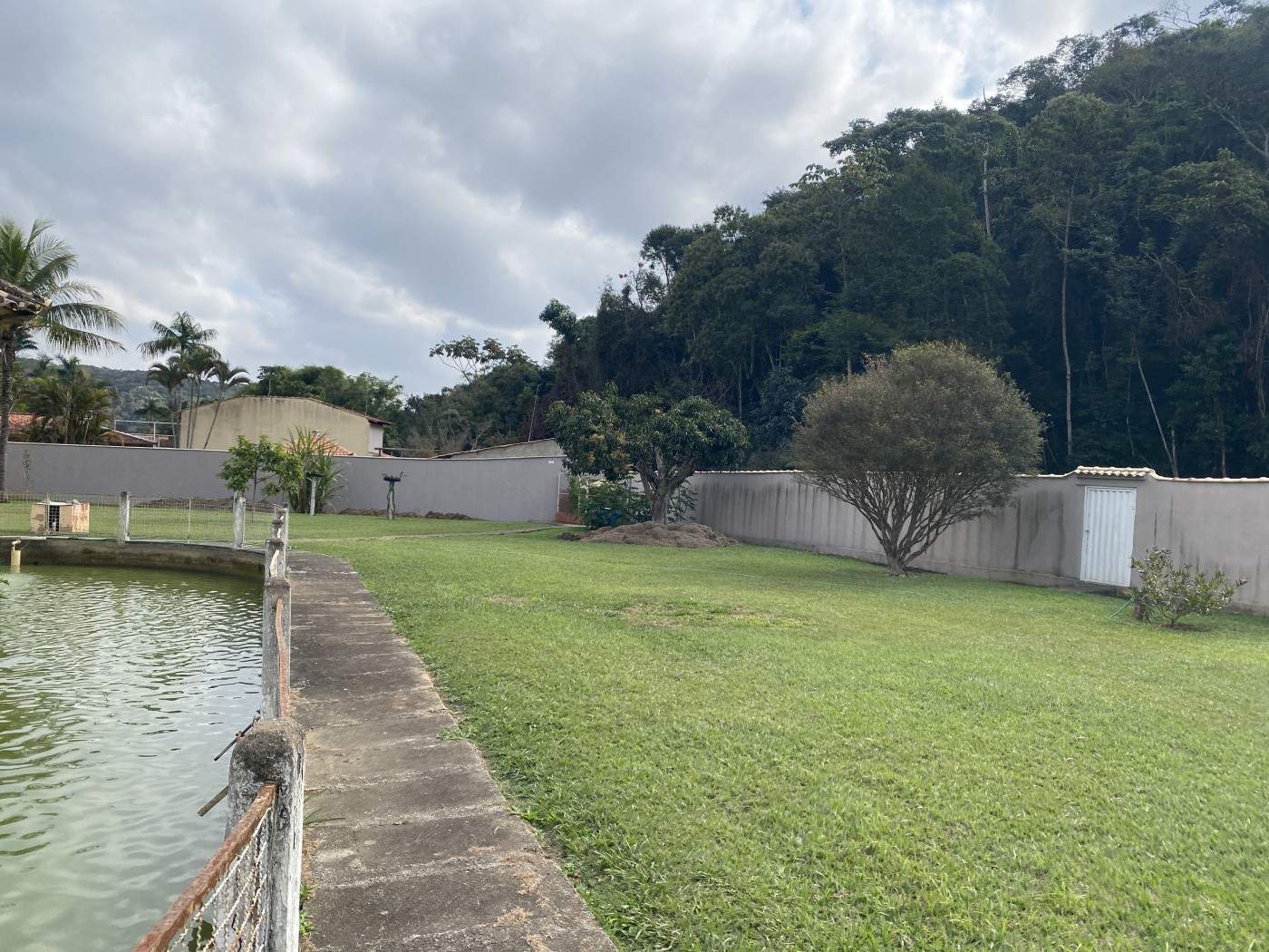 Sítio, 4 quartos, 5434 m² - Foto 22