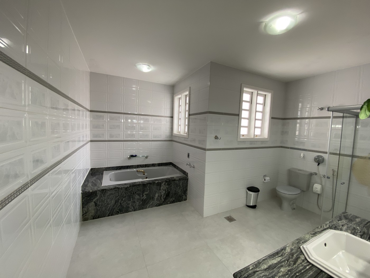 Sítio, 4 quartos, 5434 m² - Foto 26