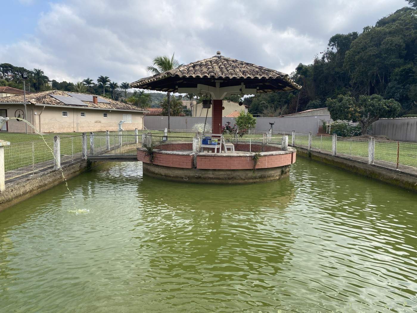 Sítio, 4 quartos, 5434 m² - Foto 47