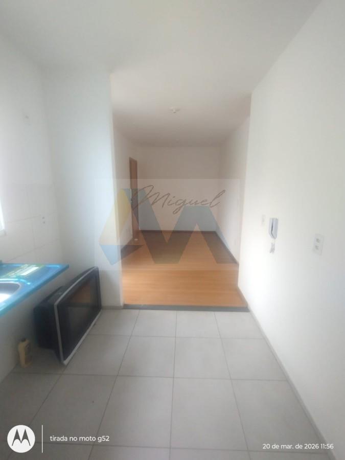 Apartamento, 2 quartos - Foto 13
